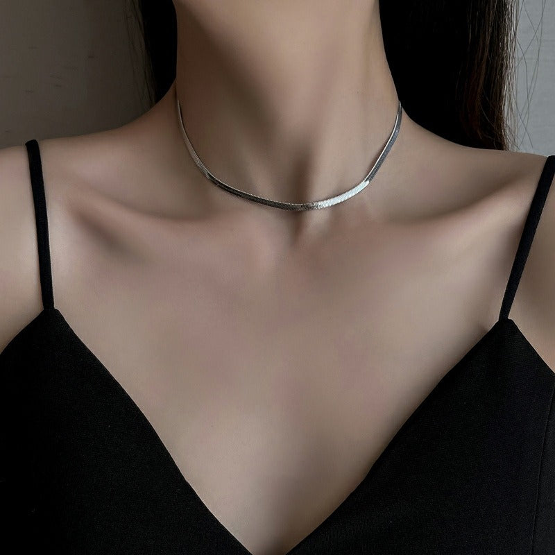 Autumn Double Layer Titanium Steel Snake Bone Chain Does Not Lose Color Gold And Silver Necklace Female Senior Collarbone Chain Hip-Hop Accessories